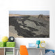 Basaltic Lava Flow from Wall Decal Design 3