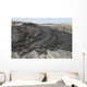 South Pit Crater Filled Wall Decal Design 4