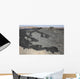Basaltic Lava Flow from Wall Decal Design 1