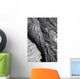 Glassy Basaltic Lava Flow Wall Decal
