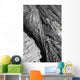 Glassy Basaltic Lava Flow Wall Decal