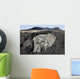 Basaltic Lava Flows from Wall Decal
