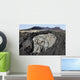 Basaltic Lava Flows from Wall Decal