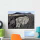 Basaltic Lava Flows from Wall Decal