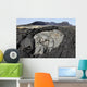 Basaltic Lava Flows from Wall Decal