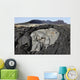 Basaltic Lava Flows from Wall Decal