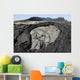 Basaltic Lava Flows from Wall Decal