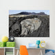 Basaltic Lava Flows from Wall Decal