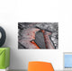 Crust Sinking into Active Wall Decal