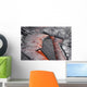 Crust Sinking into Active Wall Decal