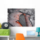 Crust Sinking into Active Wall Decal