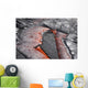 Crust Sinking into Active Wall Decal