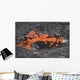 Lava Breaking through Crust Wall Decal