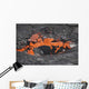 Lava Breaking through Crust Wall Decal