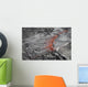 Overflowing Lava Lake Erta Wall Decal