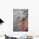 Lava Flowing out Active Wall Decal