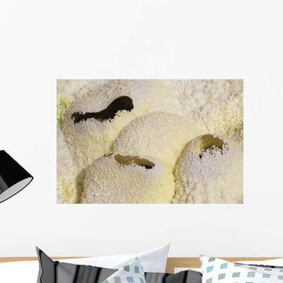 Fumarole Deposits Dallol Geothermal Wall Decal Design 4 shown on a wall