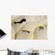 Fumarole Deposits Dallol Geothermal Wall Decal Design 4