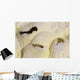 Fumarole Deposits Dallol Geothermal Wall Decal Design 4