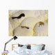 Fumarole Deposits Dallol Geothermal Wall Decal Design 4
