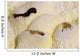 Fumarole Deposits Dallol Geothermal Wall Decal Design 4