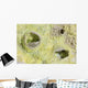 Fumarole Deposits Dallol Geothermal Wall Decal Design 3