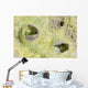 Fumarole Deposits Dallol Geothermal Wall Decal Design 3