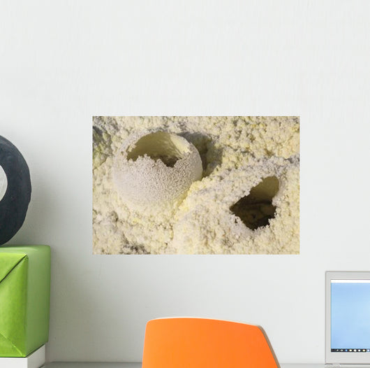 Fumarole Deposits Dallol Geothermal Wall Decal Design 2