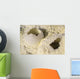 Fumarole Deposits Dallol Geothermal Wall Decal Design 2