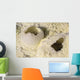 Fumarole Deposits Dallol Geothermal Wall Decal Design 2