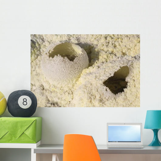 Fumarole Deposits Dallol Geothermal Wall Decal Design 2