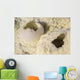 Fumarole Deposits Dallol Geothermal Wall Decal Design 2