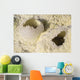 Fumarole Deposits Dallol Geothermal Wall Decal Design 2