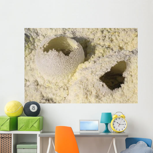 Fumarole Deposits Dallol Geothermal Wall Decal Design 2