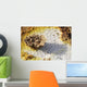 Potassium Salt Deposits Dallol Wall Decal Design 4