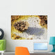 Potassium Salt Deposits Dallol Wall Decal Design 4