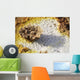 Potassium Salt Deposits Dallol Wall Decal Design 4