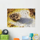 Potassium Salt Deposits Dallol Wall Decal Design 4