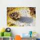 Potassium Salt Deposits Dallol Wall Decal Design 4