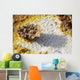 Potassium Salt Deposits Dallol Wall Decal Design 4