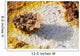 Potassium Salt Deposits Dallol Wall Decal Design 4