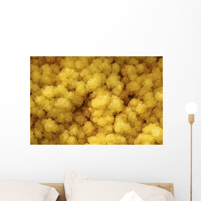 Close-up Yellow Salt Crystals Wall Decal Design 5 shown on a wall