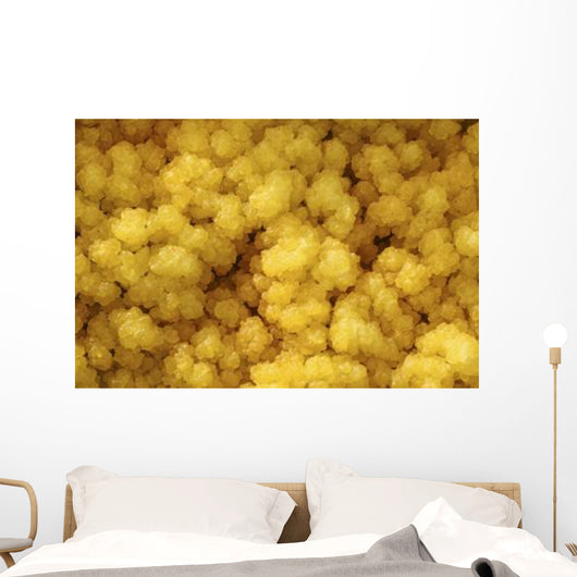 Close-up Yellow Salt Crystals Wall Decal Design 5