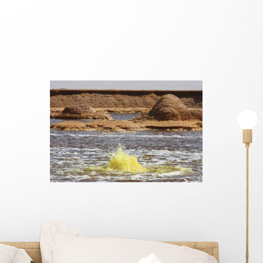 Hot Spring Yellow Brine Wall Decal