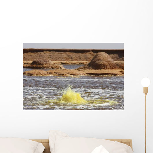 Hot Spring Yellow Brine Wall Decal