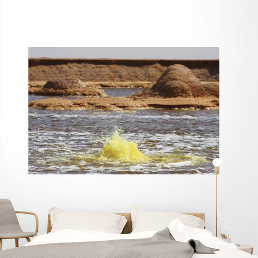 Hot Spring Yellow Brine Wall Decal