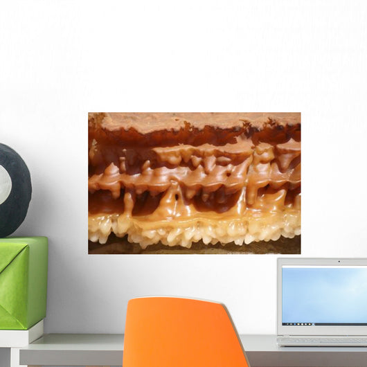 Potassium Salt Deposits Dallol Wall Decal Design 3