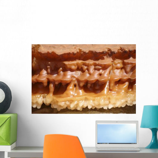 Potassium Salt Deposits Dallol Wall Decal Design 3