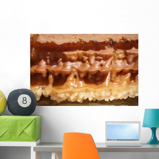Potassium Salt Deposits Dallol Wall Decal Design 3
