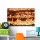 Potassium Salt Deposits Dallol Wall Decal Design 3